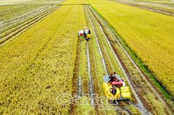 'Chìa khóa' phát triển nông nghiệp bền vững