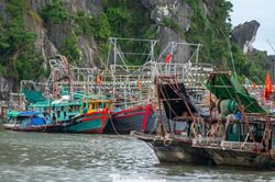 Quảng Ninh: ứng phó khẩn cấp với bão số 11