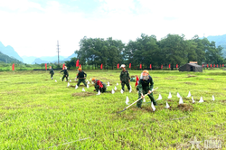 Binh chủng Công binh kiểm tra, cấp mới và cấp đổi chứng chỉ năng lực rà phá bom mìn, vật nổ tại Tuyên Quang