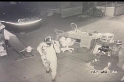 Tình tiết mới vụ án 3 người trong 1 gia đình bị sát hại tại xã Đak Nhau