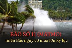 Bão số 11 đổ bộ, đất liền Quảng Ninh – Ninh Bình đối mặt gió giật cấp 10