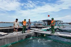 Quảng Ninh: Bão số 11 áp sát, đặc khu Cô Tô ứng phó khẩn cấp