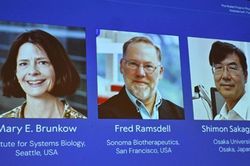 Ba nhà khoa học nhận Nobel Y sinh 2025 vì khám phá cơ chế 'phanh' của hệ miễn dịch