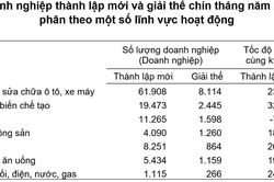 9 tháng năm 2025: Hơn 231 nghìn doanh nghiệp gia nhập và tái gia nhập thị trường