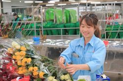 Doanh nghiệp Lâm Đồng kết nối để phát triển bền vững
