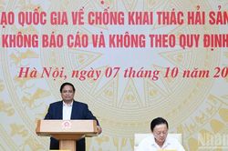 Tạo chuyển biến, chuyển đổi trạng thái, quyết tâm chấm dứt tình trạng khai thác hải sản IUU