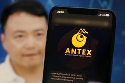 Theo dấu dòng tiền dự án AntEx của Shark Bình