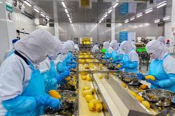 4 nghị quyết trụ cột tạo động lực phát triển toàn diện