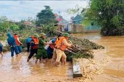 Bảy người thiệt mạng và mất tích do bão số 11