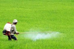 Xây dựng chương trình quản lý sức khỏe cây trồng