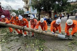 Ngành điện Nghệ An cơ bản hoàn thành cấp điện trở lại sau bão số 10