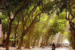 Mùa Thu - nét đẹp đặc trưng đầy quyến rũ của Hà Nội