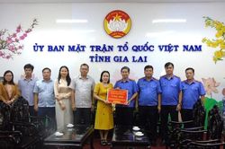 Ngành Kiểm sát Gia Lai quyên góp 185 triệu đồng giúp đồng bào bị ảnh hưởng bởi bão số 10