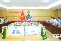 Chính phủ triển khai Chương trình mục tiêu Quốc gia phòng, chống ma túy đến năm 2030