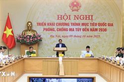 Thủ tướng chủ trì Hội nghị Chương trình mục tiêu quốc gia phòng, chống ma túy