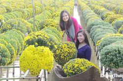 Mở ra cơ hội mới cho 2 làng hoa, kiểng