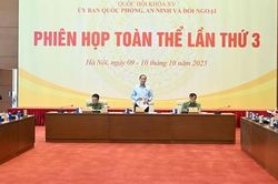 Sửa 10 luật có liên quan đến ANTT đáp ứng yêu cầu tổ chức chính quyền địa phương 2 cấp