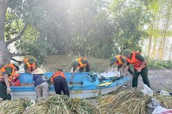 Xúc động Công an xã ở Bắc Ninh giúp dân gặt lúa vượt lũ
