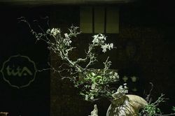 Triển lãm nghệ thuật cắm hoa Nhật Bản 'Tương giao'