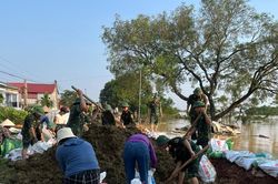 Có 7 trường hợp tử vong, thương tật do bão được chi trả bảo hiểm