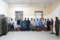 Bắt quả tang nhóm 14 đối tượng tham gia 'đá gà trực tuyến' tại quán cà phê