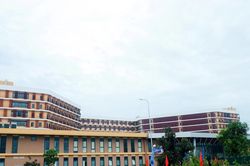 Ban Thường vụ Tỉnh ủy Nghệ An định hướng sắp xếp đơn vị sự nghiệp công lập, trường học, cơ sở y tế trên địa bàn tỉnh