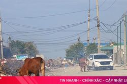'Ngộp thở' với khói rác trong Cụm công nghiệp Thạch Kim