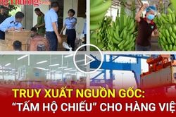 Truy xuất nguồn gốc: 'Tấm hộ chiếu' cho hàng Việt