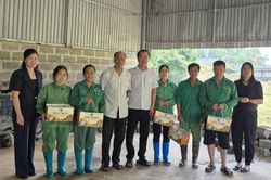 Liên minh Hợp tác xã tỉnh thăm, động viên các hợp tác xã bị ảnh hưởng bão lũ