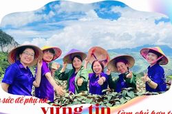 Tiếp sức để phụ nữ vững tin làm chủ hợp tác xã