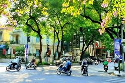 Thời tiết 11/10: Hà Nội mát mẻ, mưa rào vào chiều tối