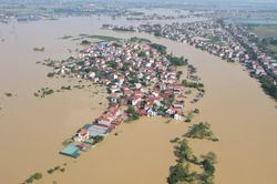 Tin lũ khẩn cấp trên sông Thương, lũ trên sông Cầu, sông Cửu Long