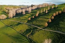 New Zealand đặt mục tiêu giảm mạnh khí thải methane từ nông nghiệp