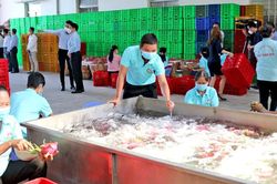 Đồng Tháp: Không để xảy ra tình trạng chậm đóng Bảo hiểm xã hội