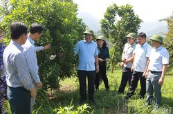 Đưa Điện Biên bứt phá trong nhiệm kỳ mới