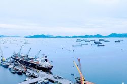 Quy định các dịch vụ, hoạt động được thực hiện trong khu vực Cảng quốc tế Cam Ranh