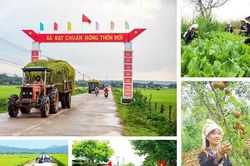 Sức mạnh lòng dân - nền tảng vững chắc của mọi thắng lợi - Kỳ 2: Nhân dân là chủ và làm chủ
