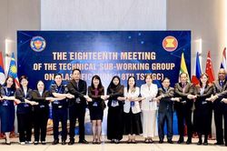 Hải quan Việt Nam thúc đẩy hài hòa hóa phân loại hàng hóa trong ASEAN