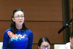 Sáp nhập đại học là 'cú hích chiến lược' kịp thời, không phải 'giải pháp tình thế'