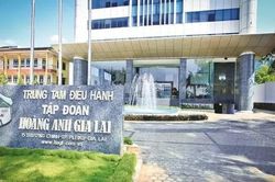 HAGL chuyển nợ thành vốn góp tại Hưng Thắng Lợi Gia Lai