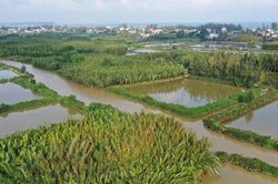 Điểm danh những khu đất Quảng Ngãi dự kiến đấu thầu lựa chọn nhà đầu tư