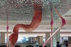 Loạt ảnh siêu thực được ghi lại khiến người nhìn sửng sốt