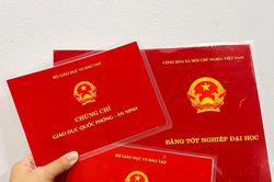 Bộ GD&ĐT dự kiến cấp bằng tốt nghiệp bản số trong 5 ngày, bản giấy trong 30 ngày