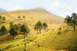 Đỉnh Phượng Hoàng - khung cảnh trời Âu tại Quảng Ninh
