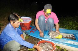 Rong ruổi trong tuyến kênh Tha La