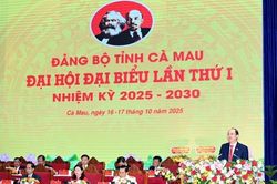 Cà Mau tổ chức phiên trù bị Đại hội Đảng bộ tỉnh