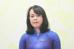 Chưa sửa đổi Luật Đất đai vì cần phải đánh giá đầy đủ, toàn diện