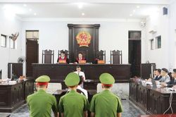 Người bán gà lôi trắng được tuyên miễn trách nhiệm hình sự, thả tự do ngay tại tòa