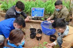 Vườn ươm thanh niên phát triển kinh tế, xóa đói giảm nghèo vùng phên dậu