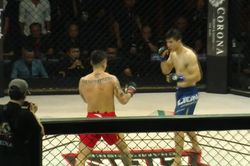Đội tuyển MMA Việt Nam tham dự SEA Games 33 với 6 võ sỹ